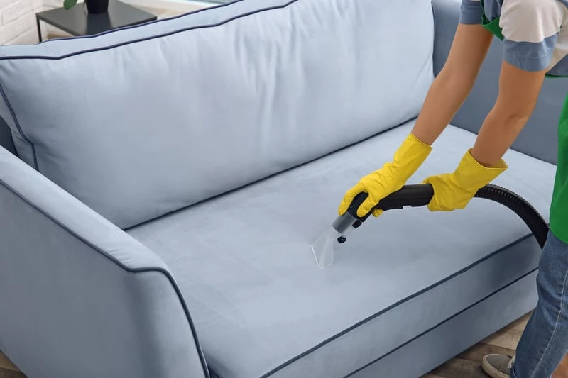 Cleaner Vacuuming Couch at Home