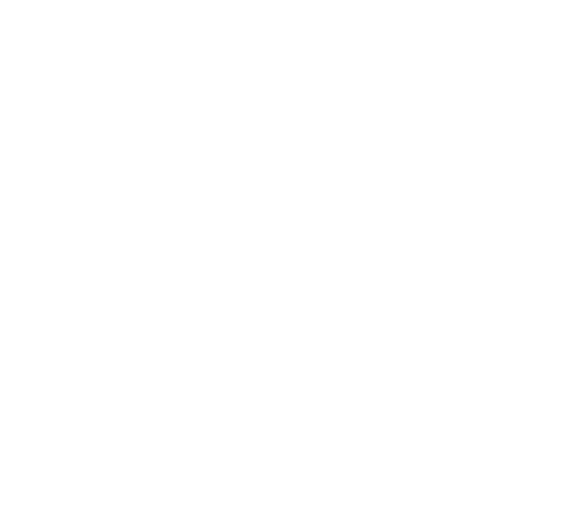 print icon